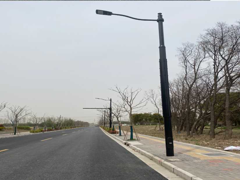 九龙上海综合杆 太阳能路灯工程